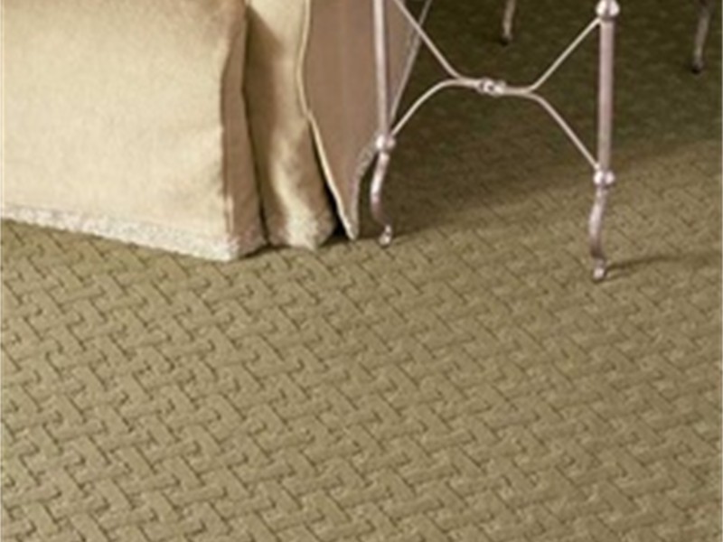 76f91f78cb98bb53b4f90610e0477989.jpg stainmaster carpet by dixie home sage green